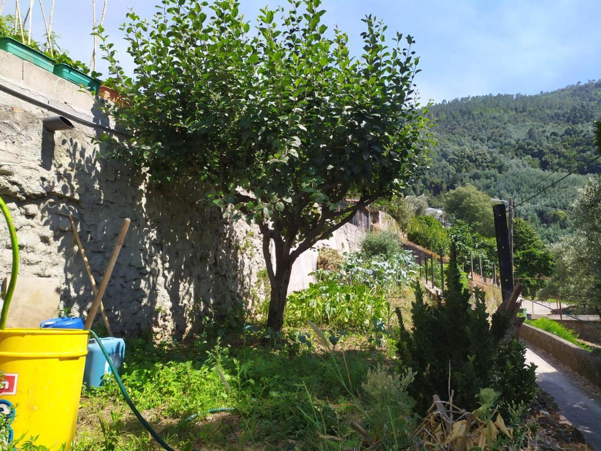 Apartamento Casa Da Rota Dos Moinhos Lousã Exterior foto